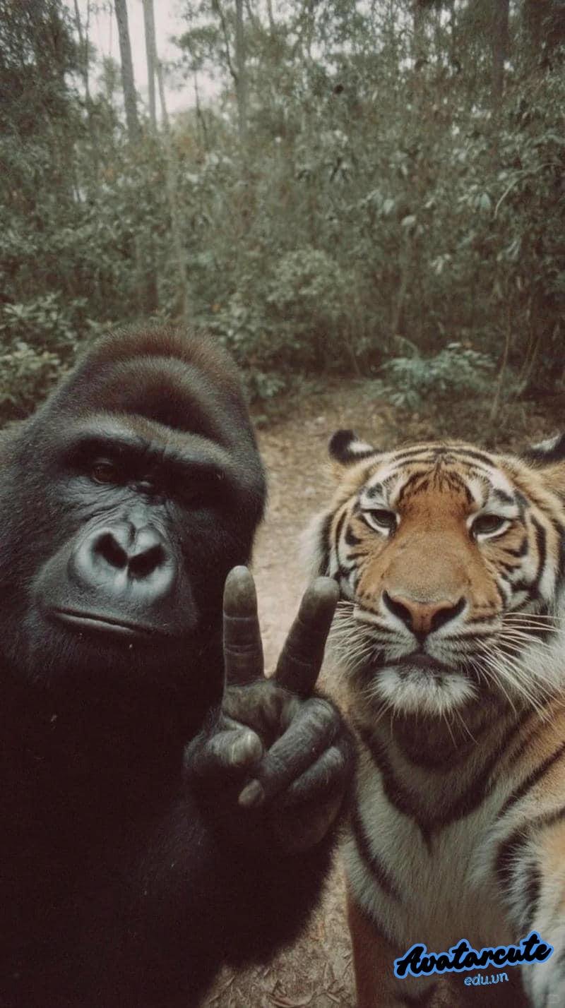 Bộ sưu tập hình nền đôi bạn thân đẹp nhất