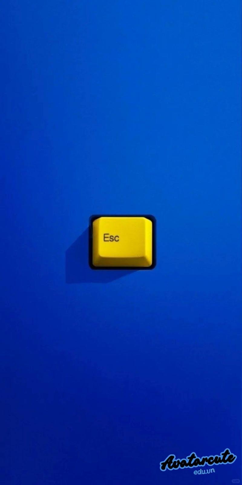 Bộ sưu tập hình nền động lực đẹp nhất