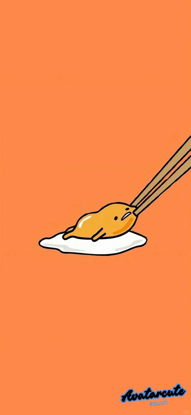 Bộ sưu tập hình nền hài đẹp