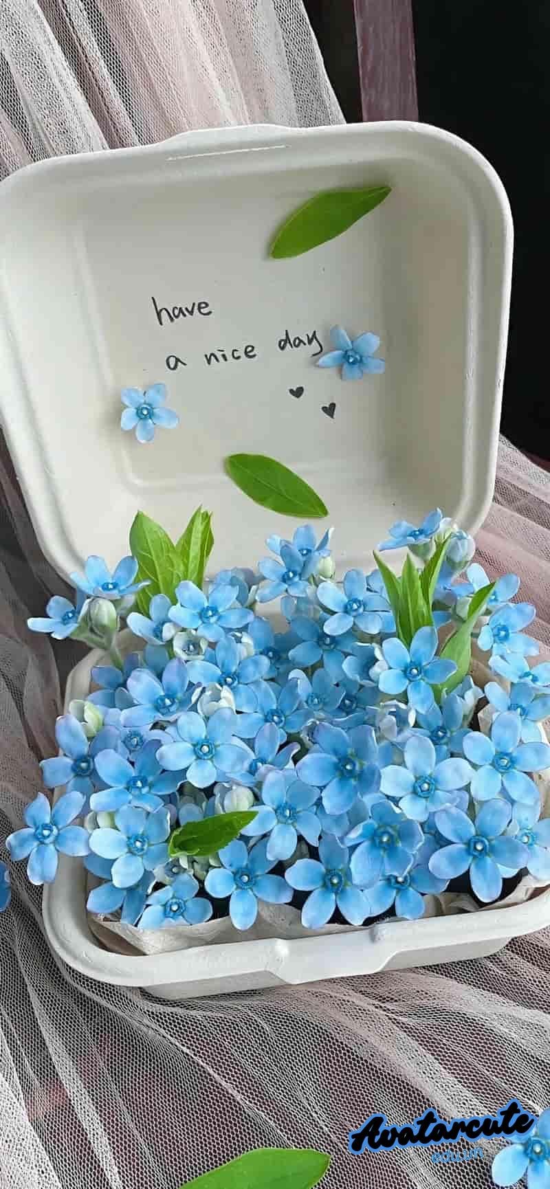Bộ sưu tập hình nền hd miễn phí