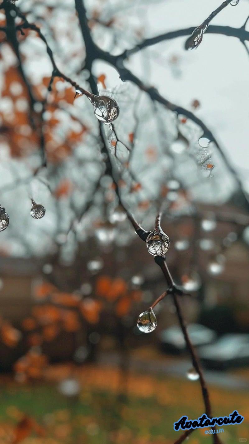 Khám phá hình nền giọt nước đẹp