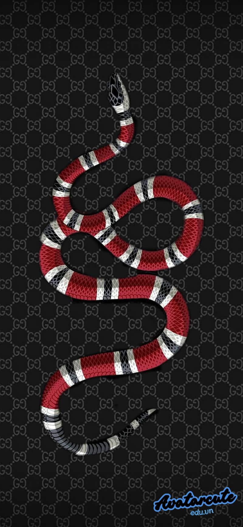 Khám phá hình nền gucci đẹp