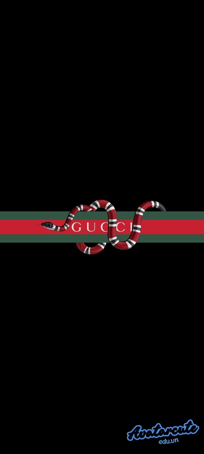 Khám phá hình nền gucci mới nhất
