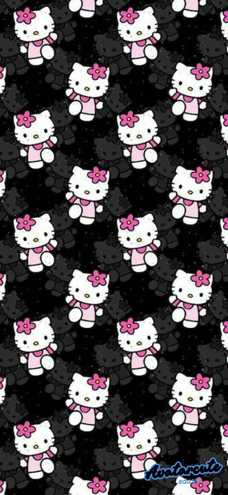 Khám phá hình nền hello kitty cuốn hút
