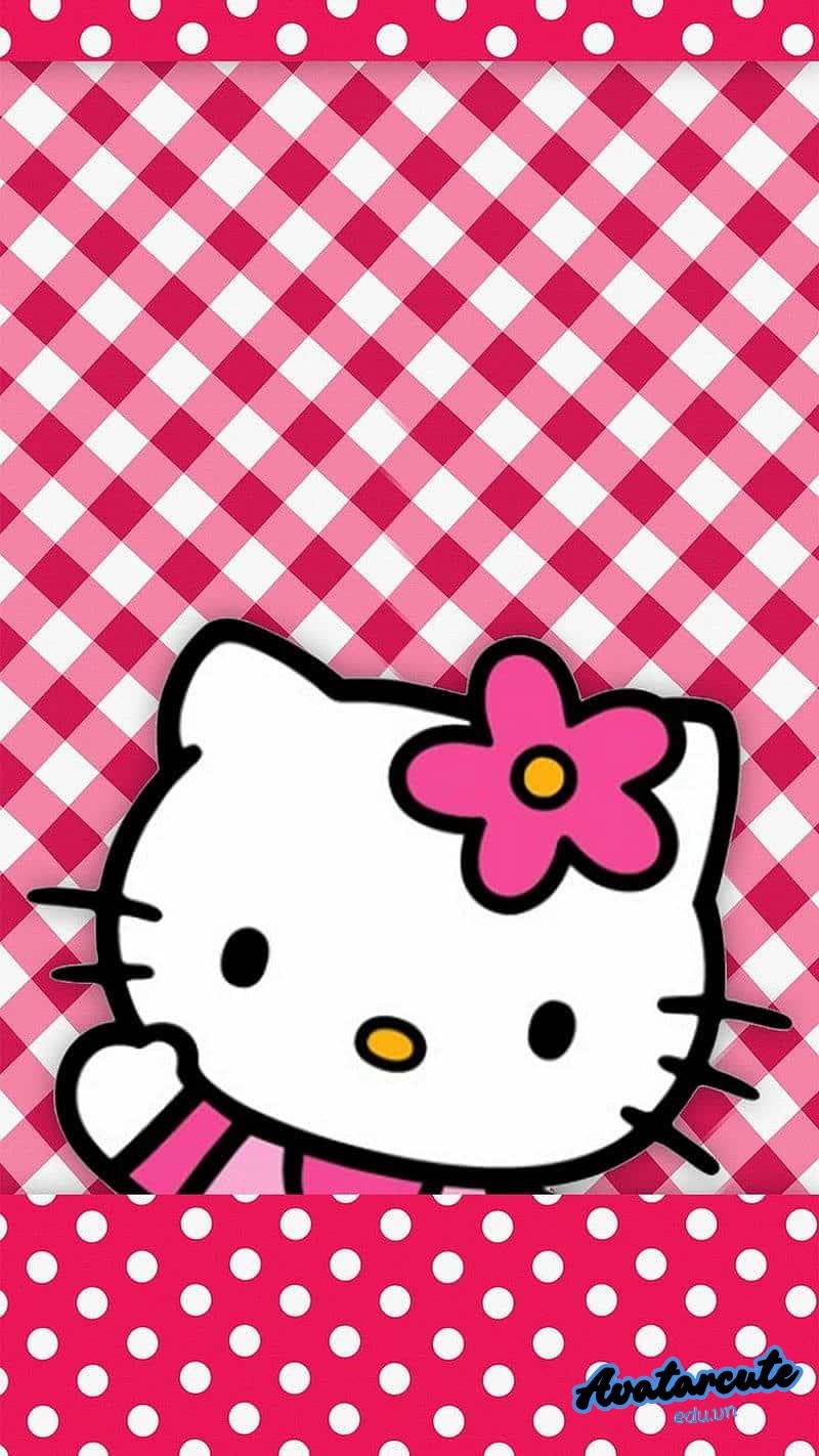 Khám phá hình nền hello kitty mới nhất