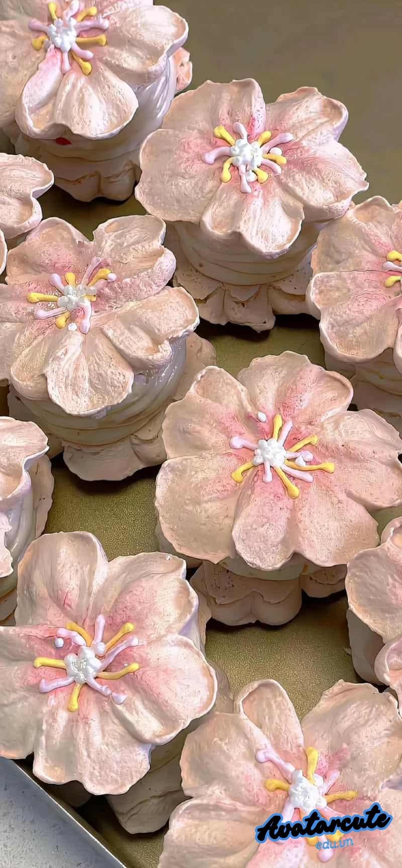 Khám phá hình nền hồng đẹp