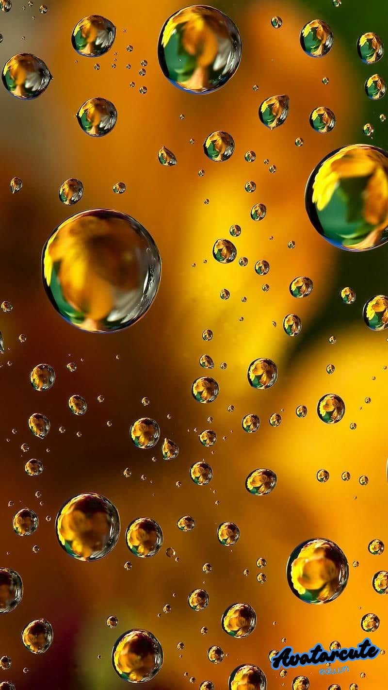 Khám phá kho hình nền giọt nước mới nhất