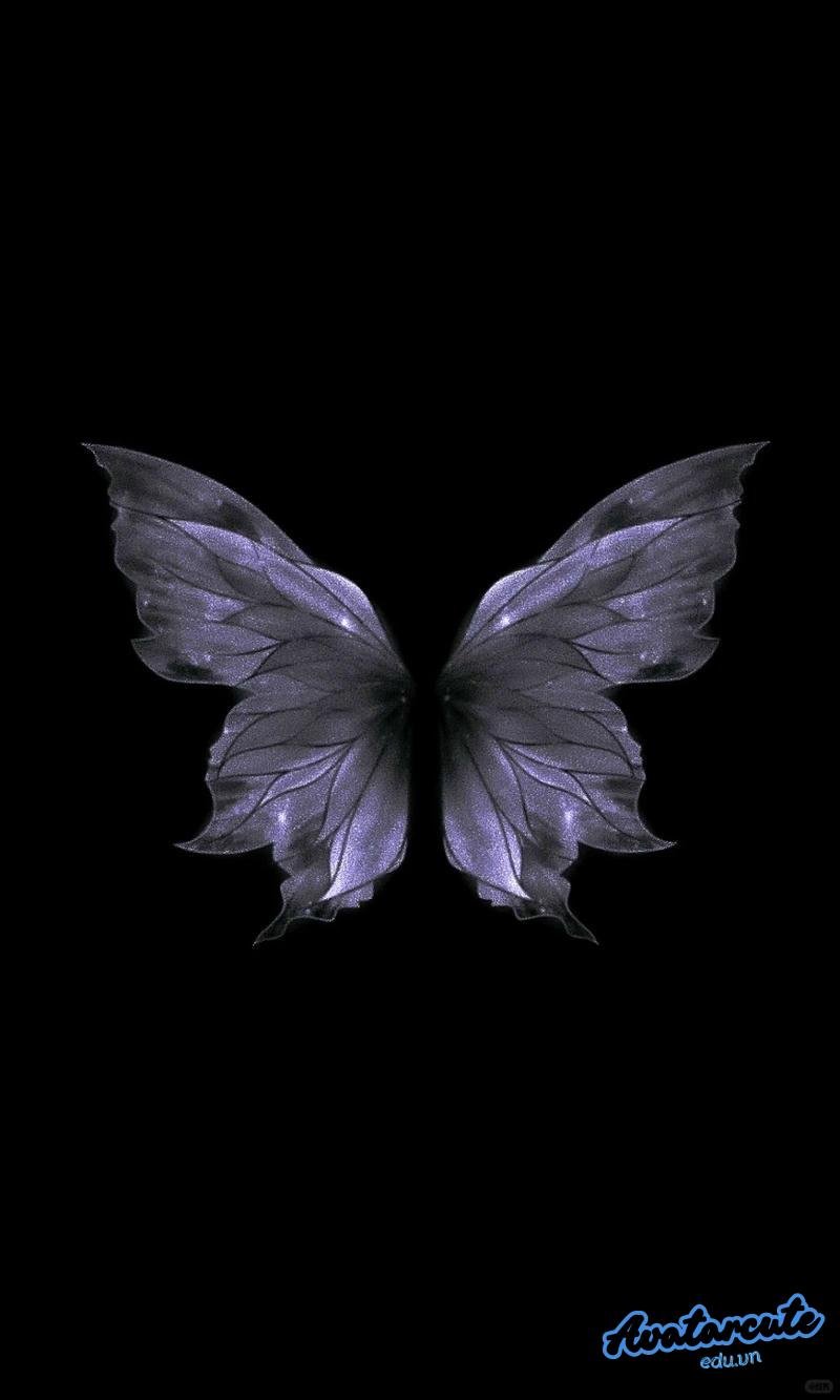 Loạt hình nền đồng hồ độc quyền