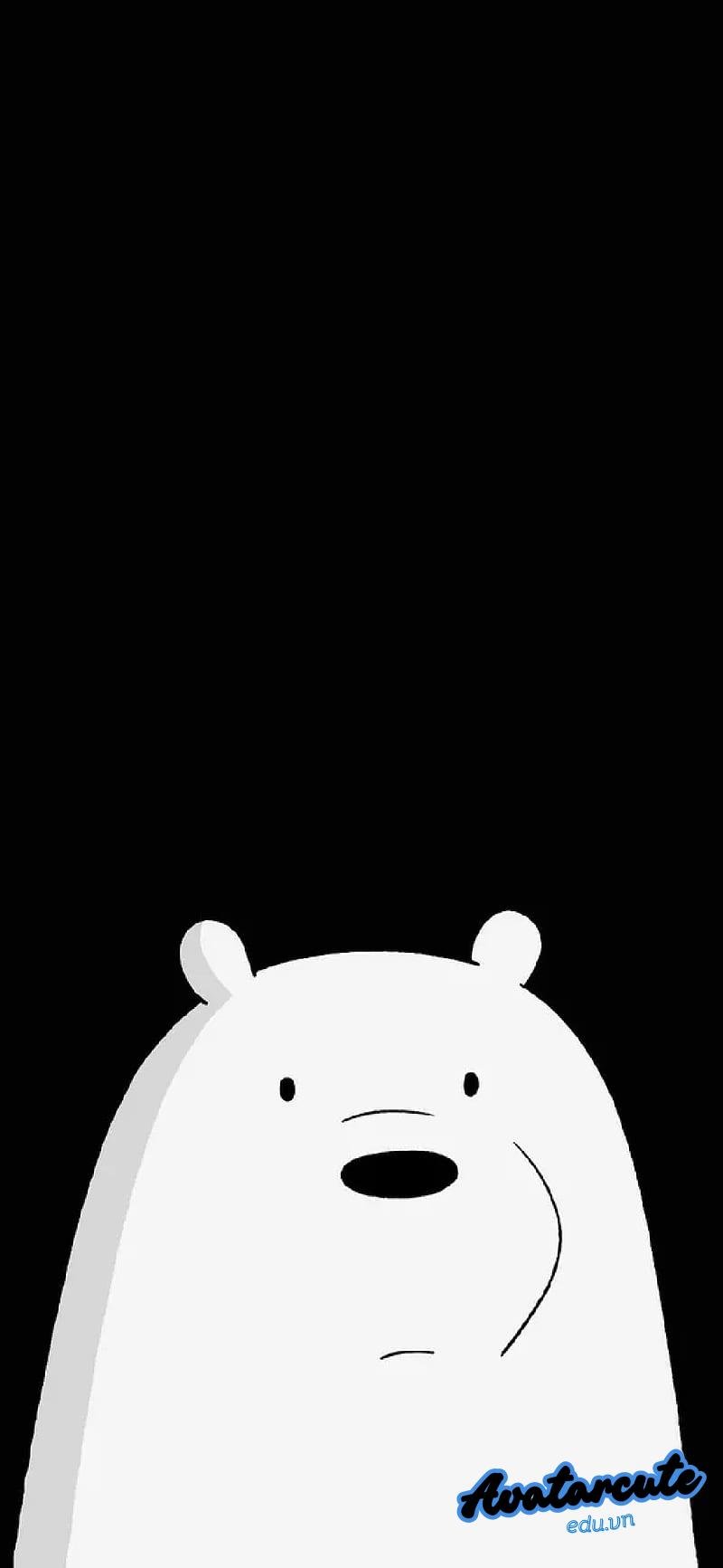 Loạt hình nền gấu chất lượng
