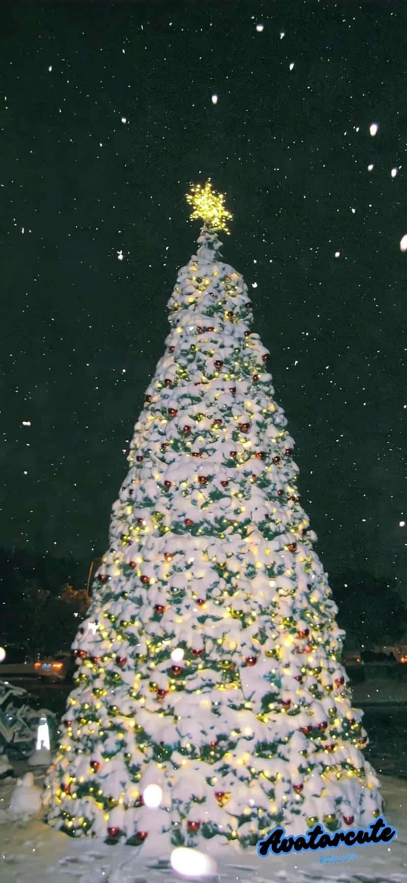 Loạt hình nền giáng sinh cuốn hút