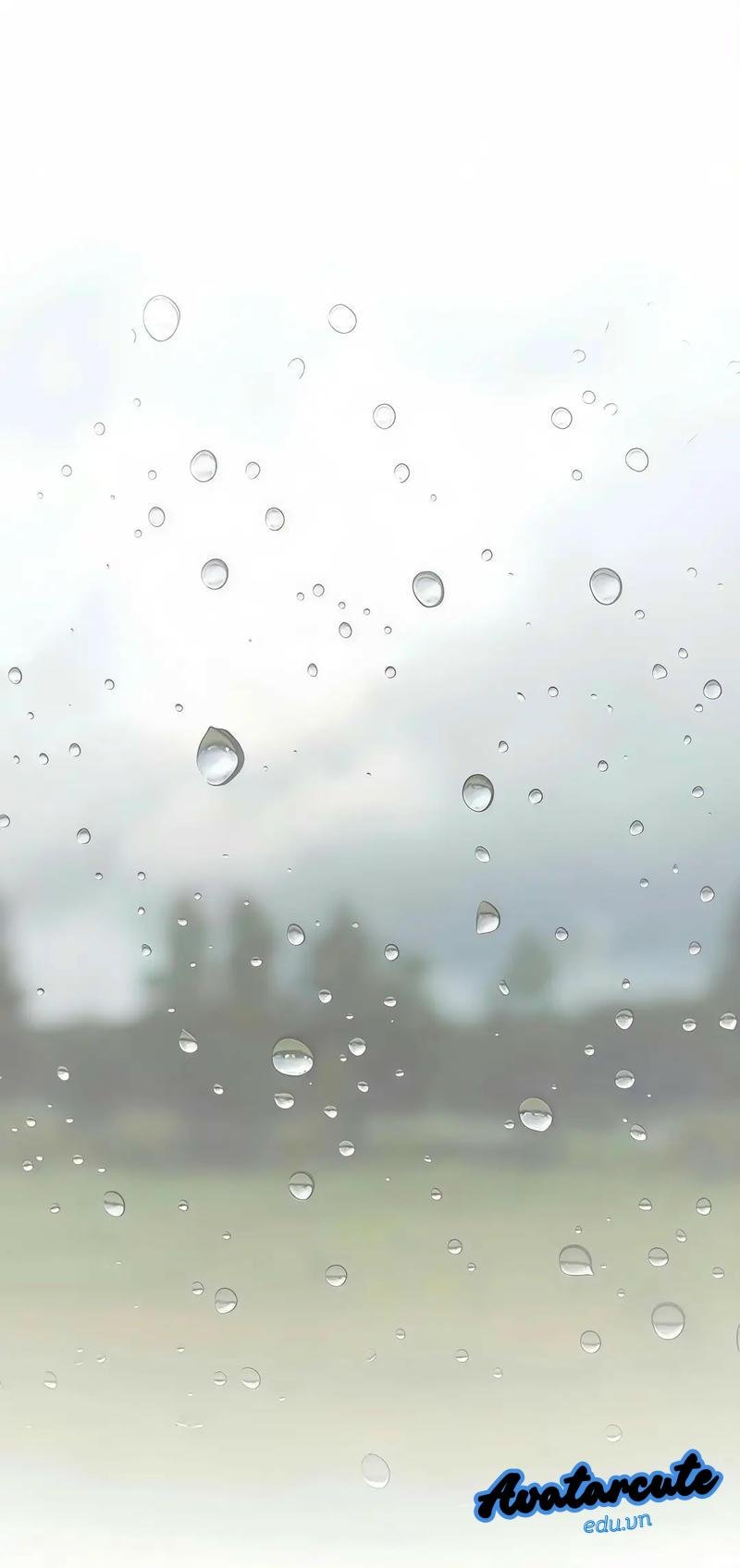 Loạt hình nền giọt nước chất lượng nhất