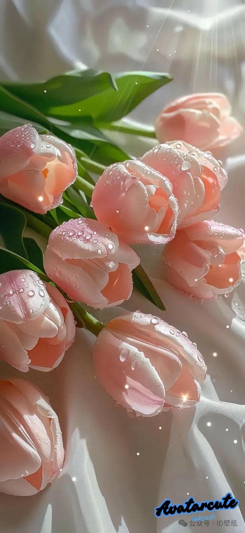Loạt hình nền hoa độc quyền