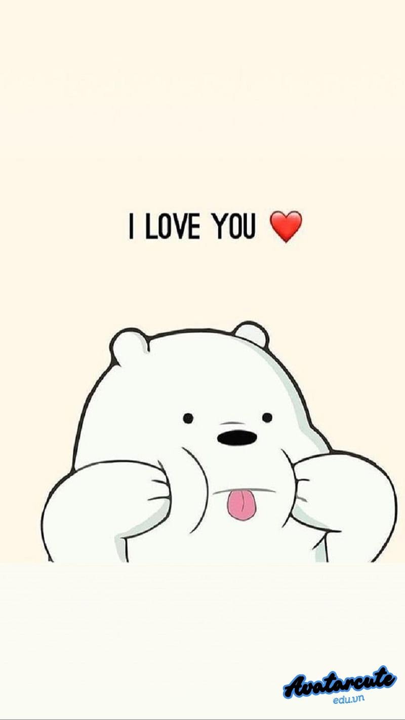 Ngắm bộ hình nền gấu chất lượng cao