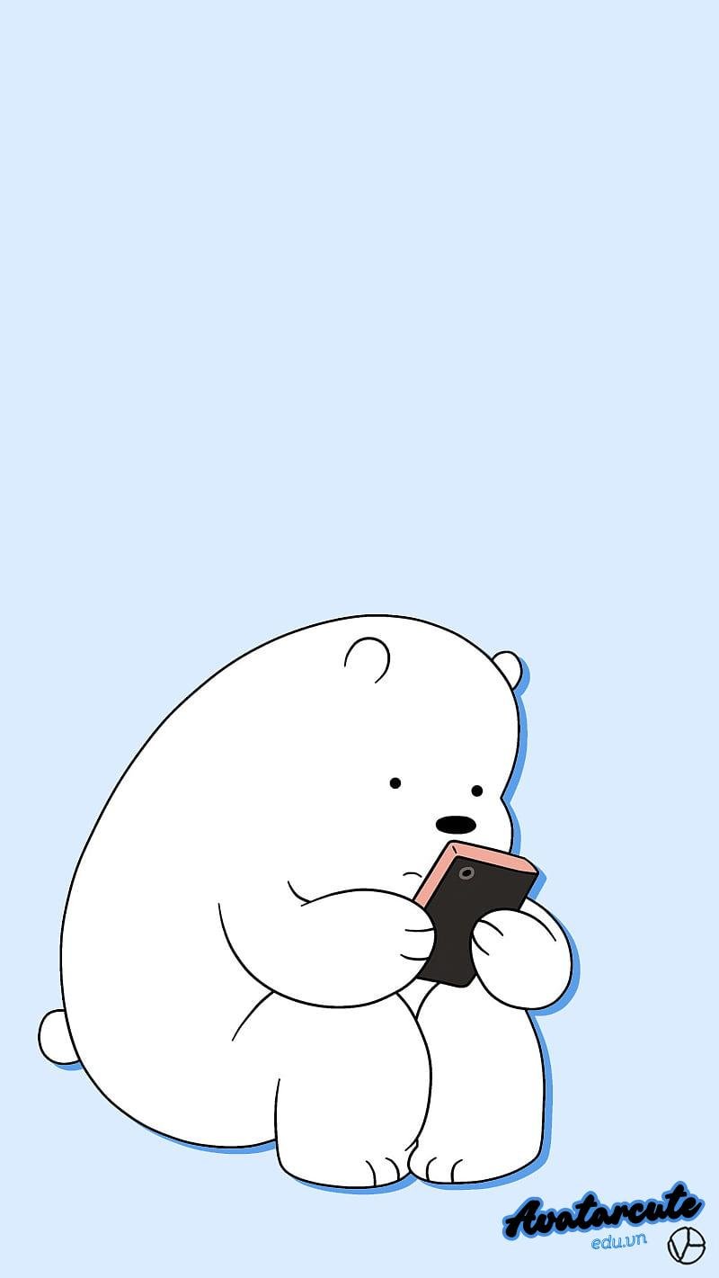 Ngắm hình nền gấu miễn phí