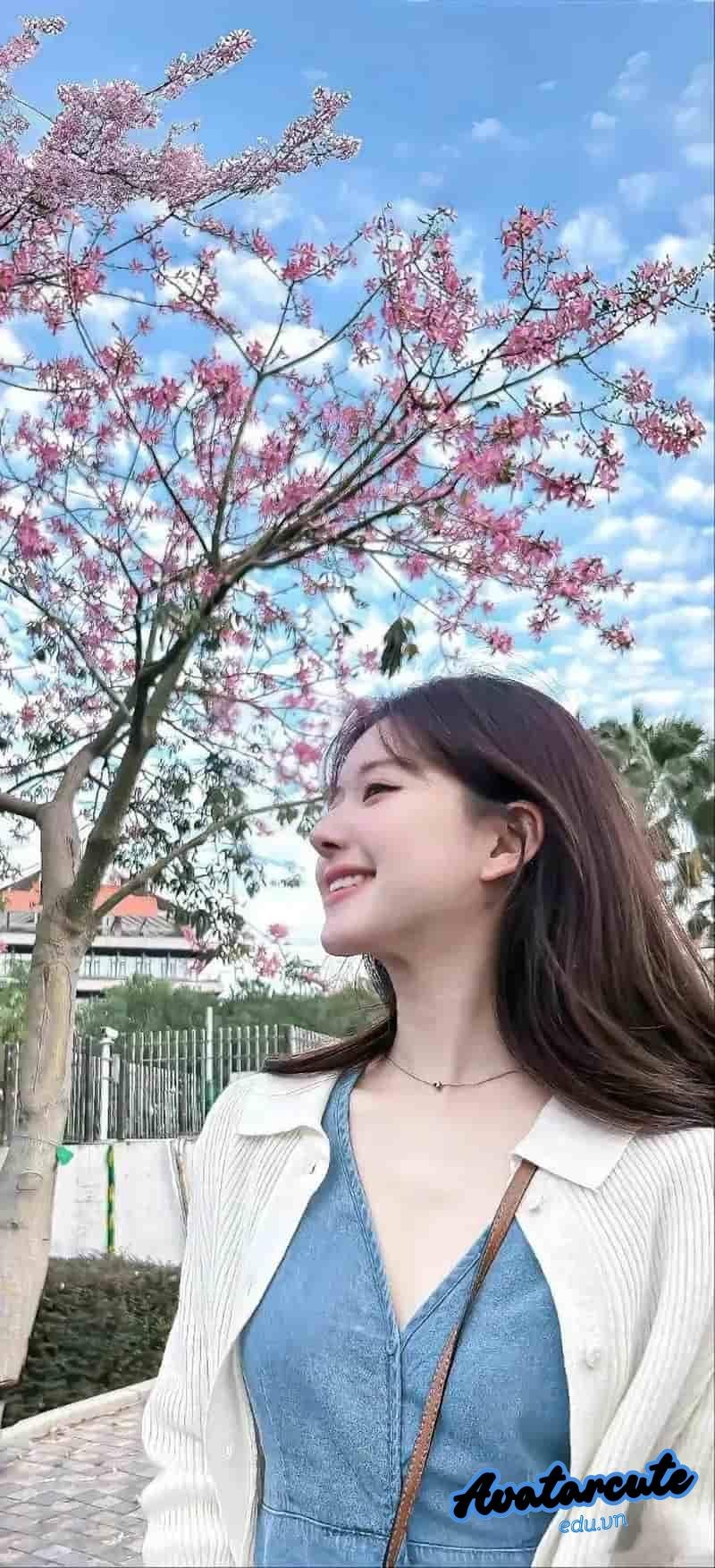 Tải bộ hình nền gái xinh mới nhất