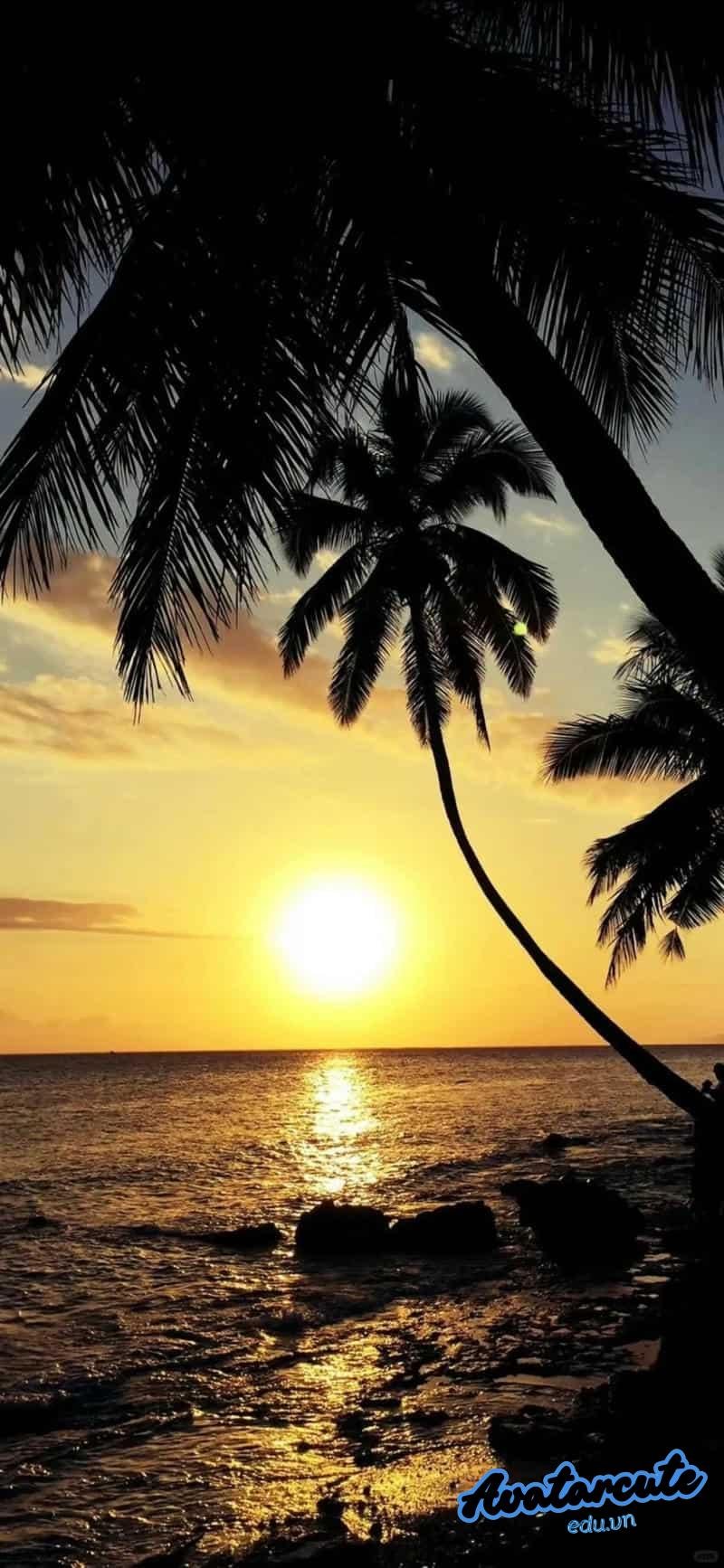 Tải hình nền hoàng hôn mới nhất