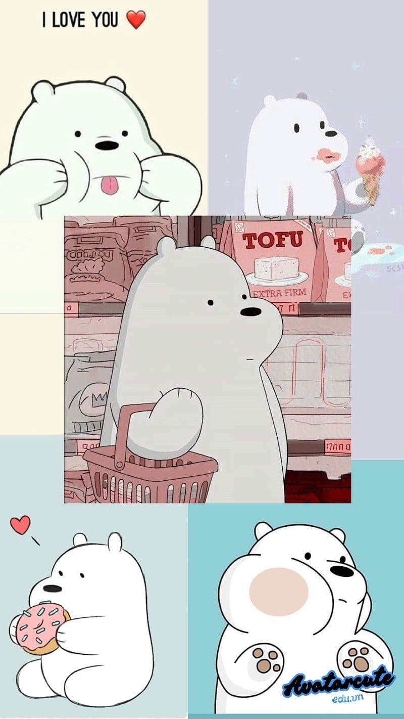 Tải về hình nền gấu miễn phí