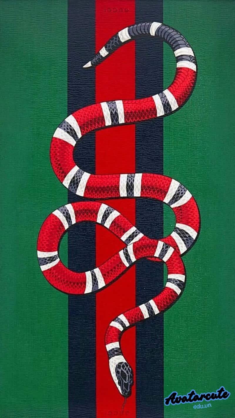 Tuyển chọn hình nền gucci thu hút