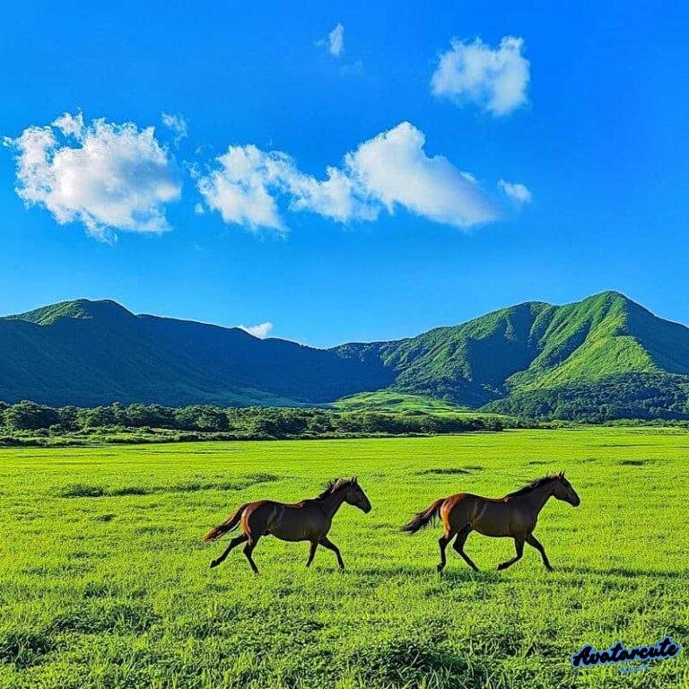 Top 200+ avatar phong cảnh thiên nhiên Chill, buồn đẹp