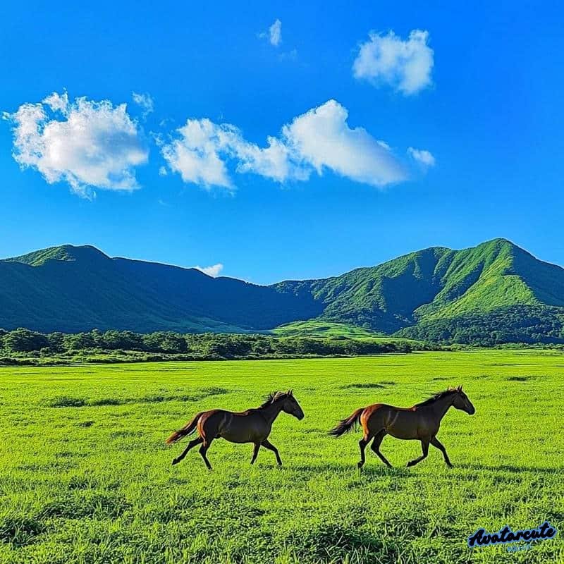 Album avatar phong cảnh cực hot