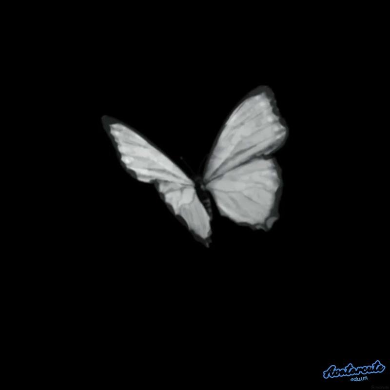 Album avatar trắng đen thu hút nhất