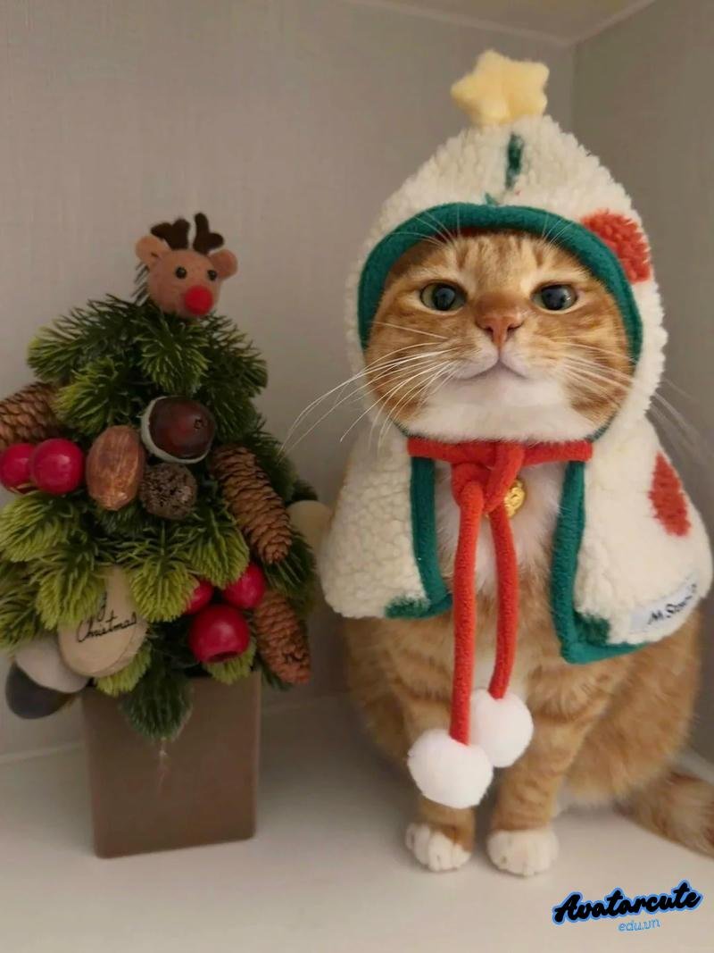 Bộ avatar noel độc đáo
