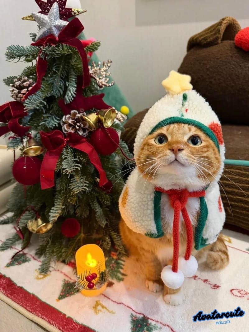 Bộ sưu tập avatar noel cực đẹp
