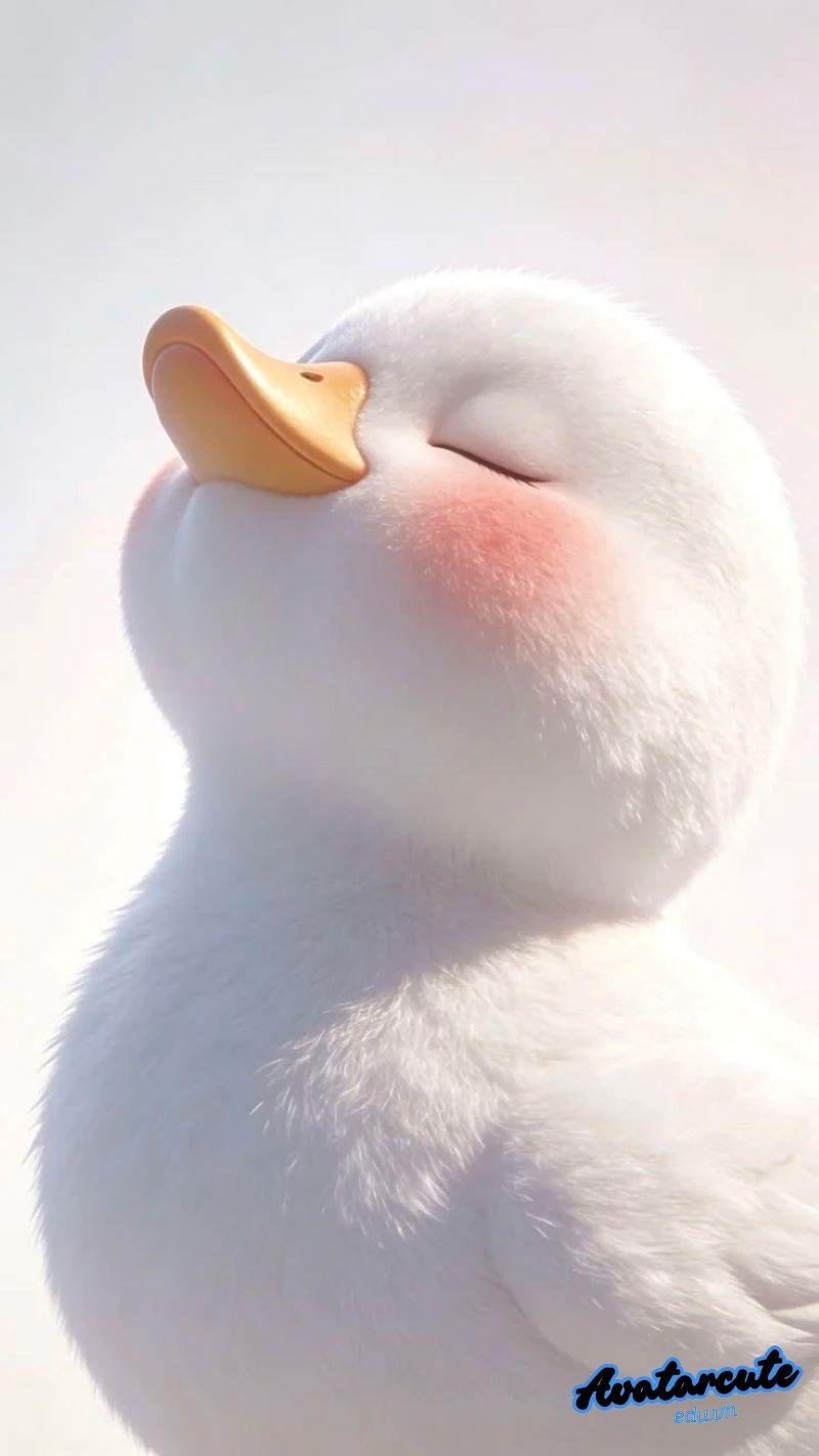 Khám phá avatar vịt độc đáo