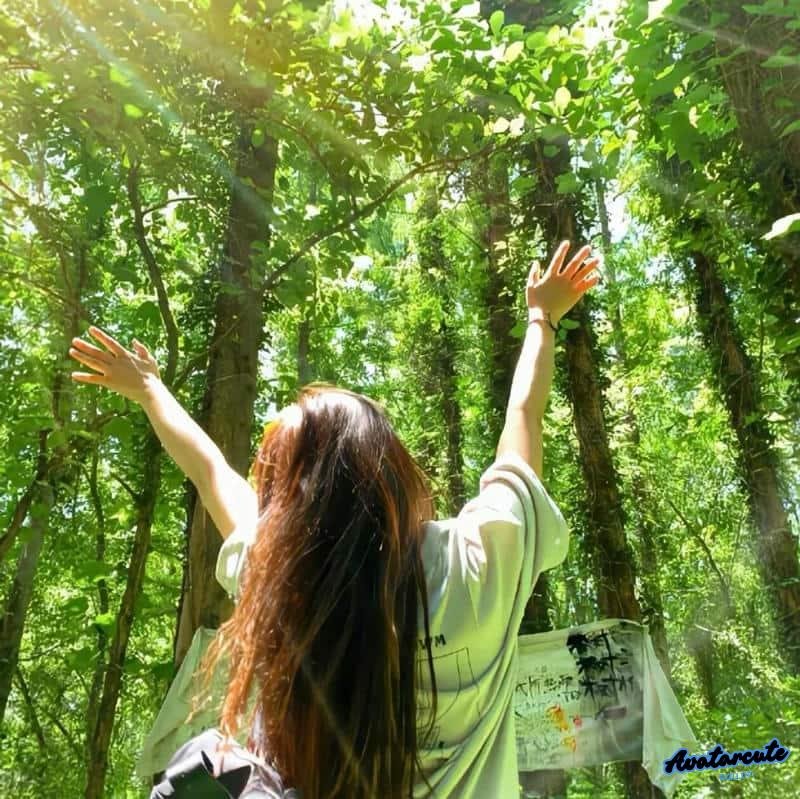 Loạt avatar thiên nhiên đẹp