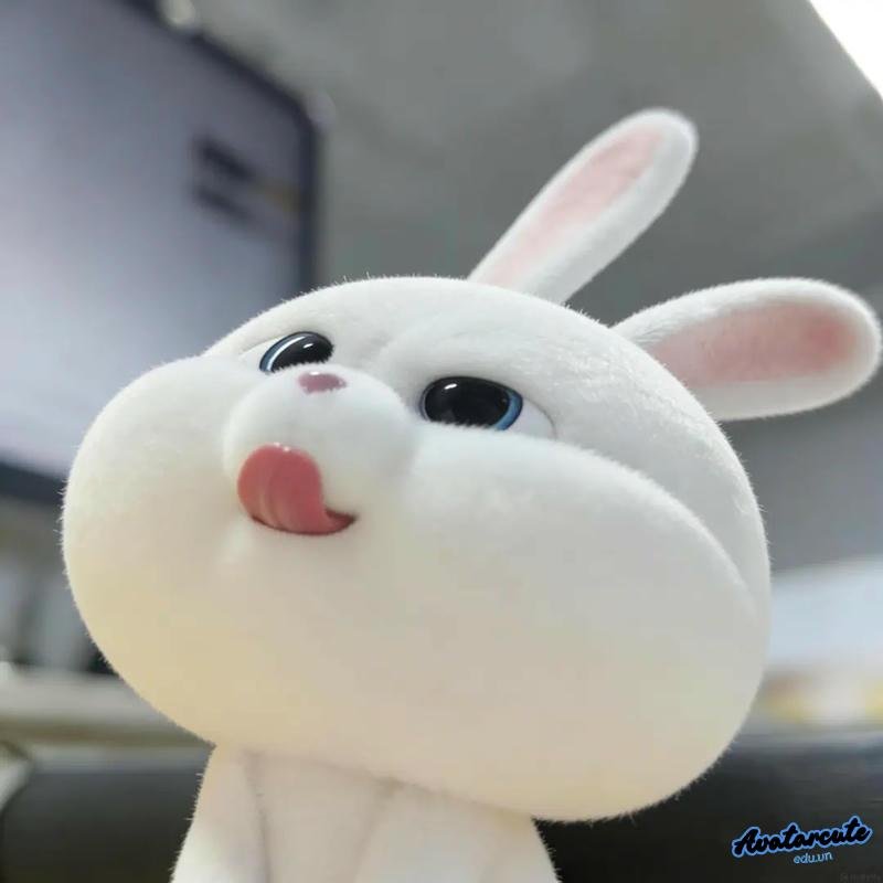 Ngắm avatar thỏ hot