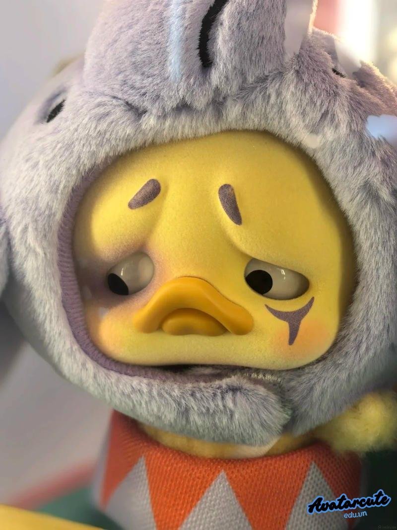 Tải về avatar vịt mới