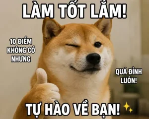 Tuyển tập meme khen cực chất mang lại năng lượng tích cực cho bạn